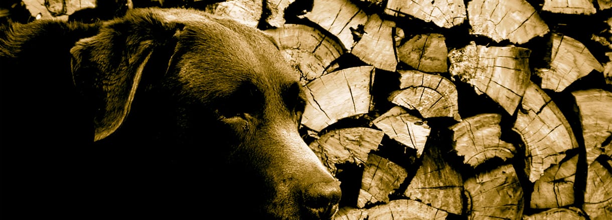 chuck-brown-dog-furniture