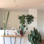 Side Table - Plant Holder